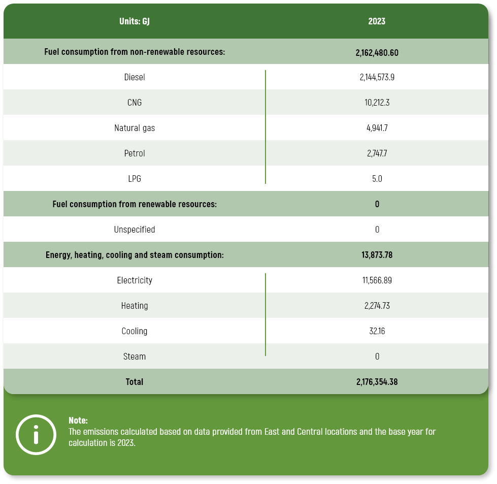 nergy consumption within the Group